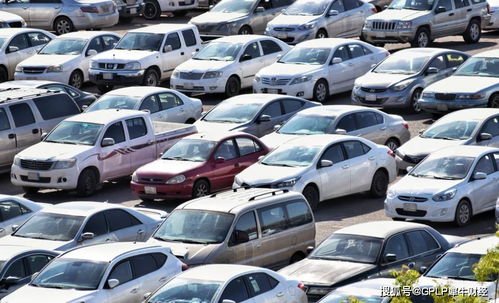神州租车业绩预计跌超八成 亏本卖二手车何日能盈利